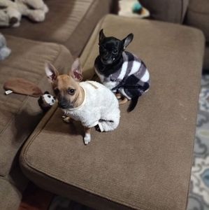 Meet your Posher, Tammy